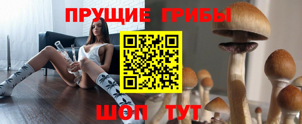 Галлюциногенные грибы прущие грибы  Вход с VPN  Киржач  Псилоцибиновые грибы GOLDEN TEACHER 