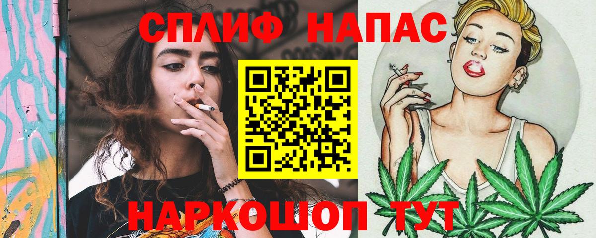 Каннабис план Киржач